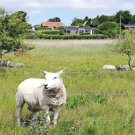 With Stunning View *